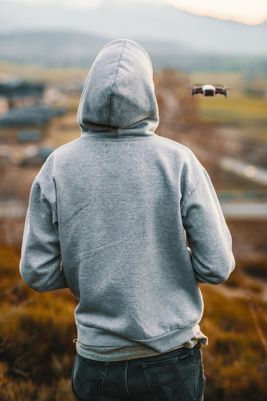 Sovereign Hoodie — heavyweight fleece hoodie, back view